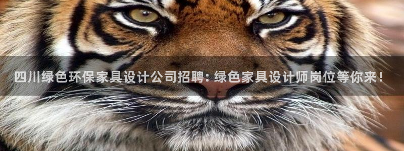 杏耀平台怎样