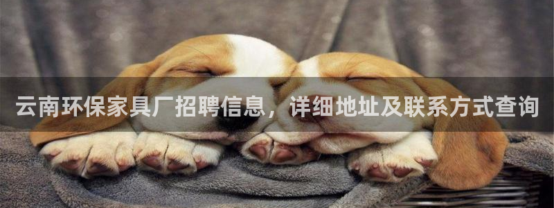 杏耀登陆