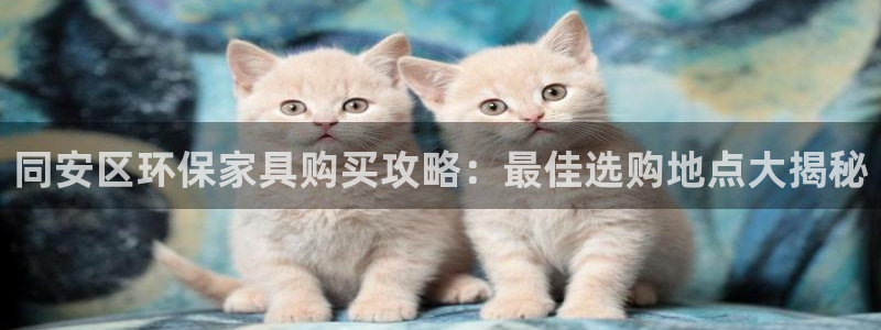 杏耀平台登陆测速