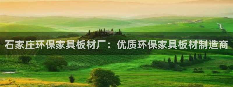 杏耀平台登陆官网