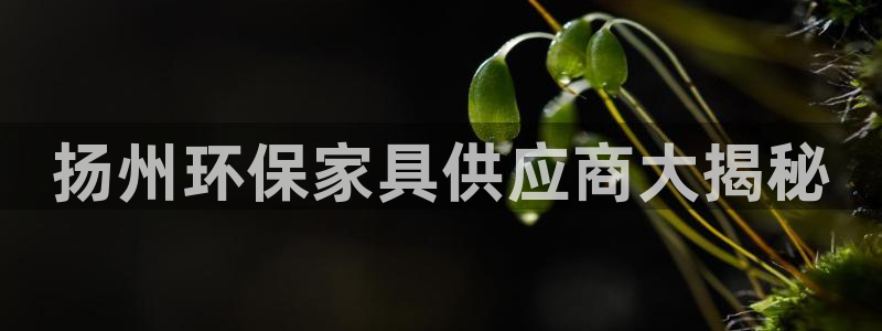 杏耀平台登陆地址