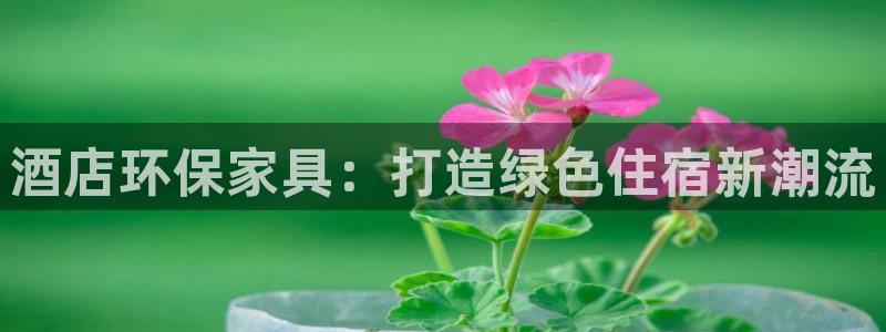 杏耀平台的专用通道