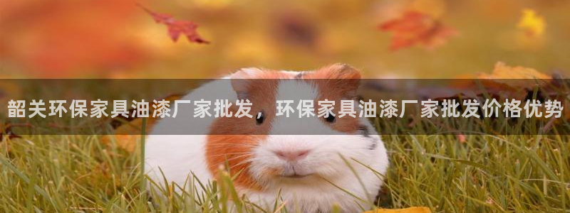 杏耀测速注册