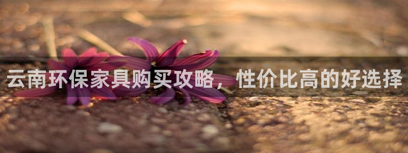 杏耀平台代理注册多少钱一年