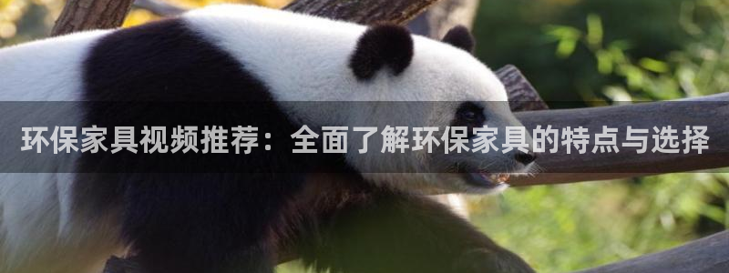 杏耀平台一安全注册入口