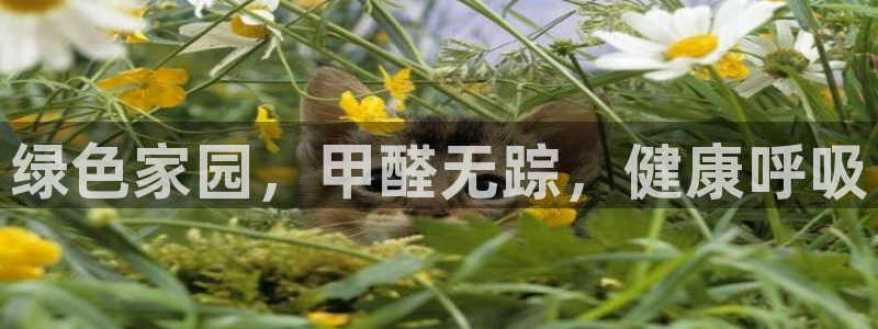 杏耀平台注册登录