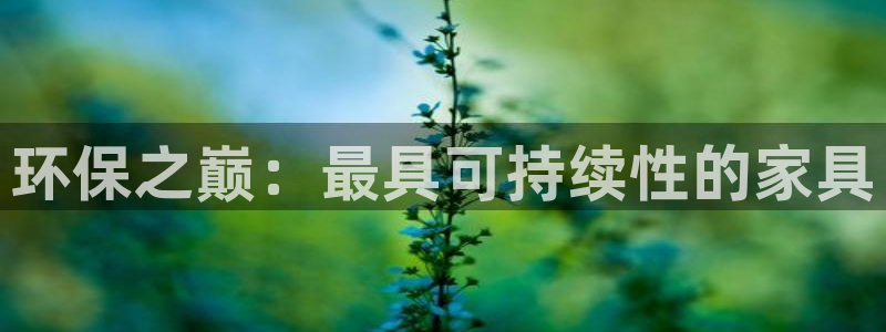 杏耀平台待遇