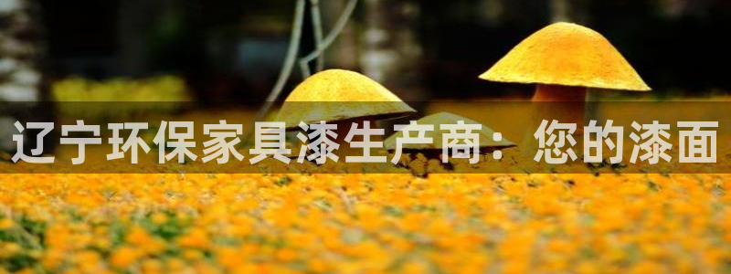 杏耀平台黑款