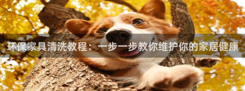 杏耀注册登录中心