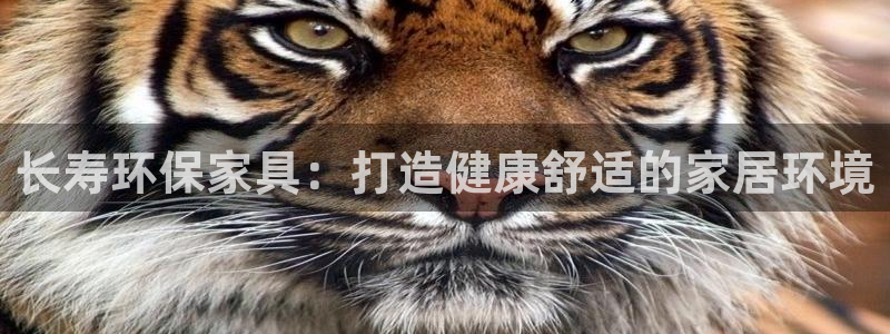 杏耀登陆测速
