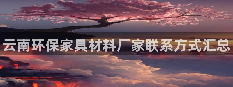 杏耀代理日工资多少