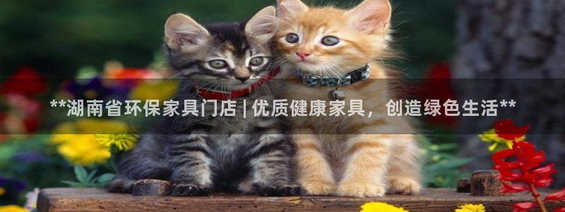 杏耀测速娱乐
