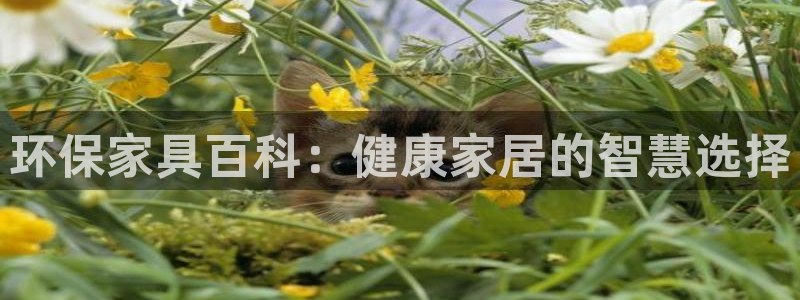 杏耀主管qq