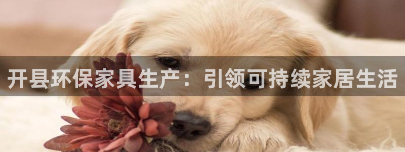 杏耀平台分红