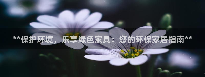 杏耀平台代理