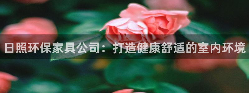 杏耀3代理