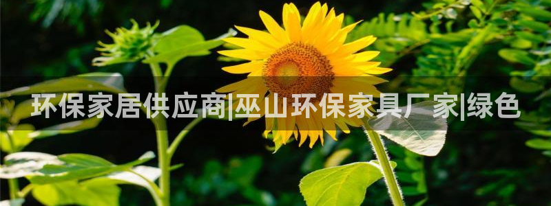 杏耀平台没有了