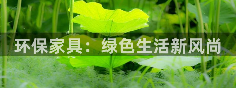 杏耀平台主管