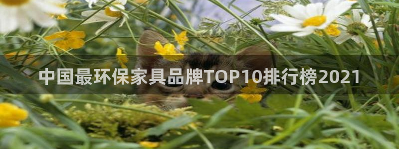 杏耀代理日工资多少