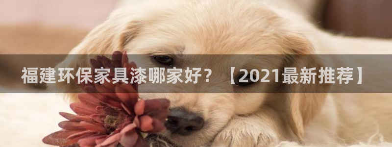 杏耀平台客户端