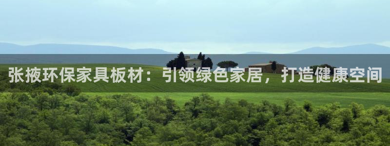 杏耀平台网站是什么