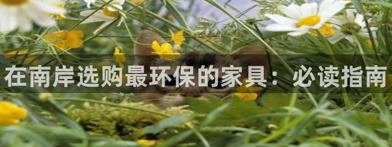 杏耀平台靠谱吗