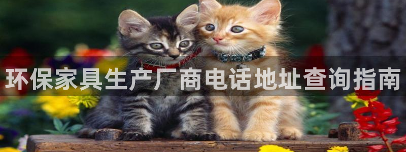 杏耀登陆测速
